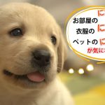 愛犬専用　NC　わん