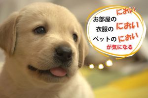 愛犬専用　NC　わん